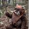 ewok_yumi
