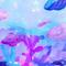 海星☆