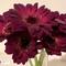reem1126960