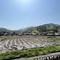 Hachiware83