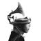 music_satori