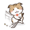 Stella_cat