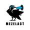 株式会社MEZELACT