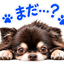 犬と僕