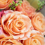 hanahana_note