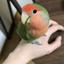 藕鳳ぐうほう