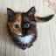 mike_cat