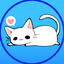 ねここ先生