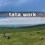 tata_work
