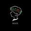 ROZE_design