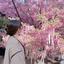 Myoshi3