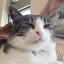 たけたろす