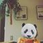 pandahead