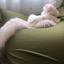 haku_cat04