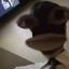 AlexanderT