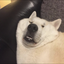ムラノ