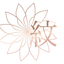 Aya Branding Design