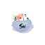 SEIstudio3