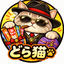 ⭐︎どら猫⭐︎