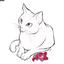槌田ひろこ