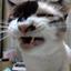 川口まろに 猫遣い