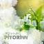 piyorinn