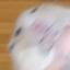 ピーピーピクルス