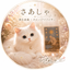 さあしゃ☽潜在意識×タロット