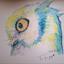 owl2202