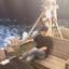 kankokugokyoushi