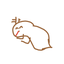 mushuto