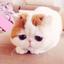 ねこらんらんらん