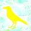 yellowbird co