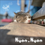 山猫デザイン事務所