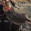 good fishing Life
