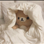 ゆーなっち