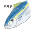 ミヤジマ　ケンタロウ