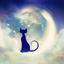 クレセントLuna☆