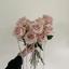 weddingdesign  shop