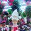 satomi_ms
