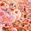 pom2809k