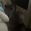 f1w3