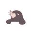 はっとりhiraku