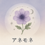 ✤アネモネ✤