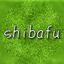 shibafu_colorist2