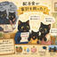黒猫の猫まんま