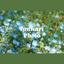 funwariphoto0409