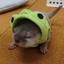 かわうそかえる