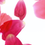 あすなろ光芸