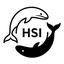 HSI LLC